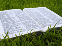Re-boot in God's Word