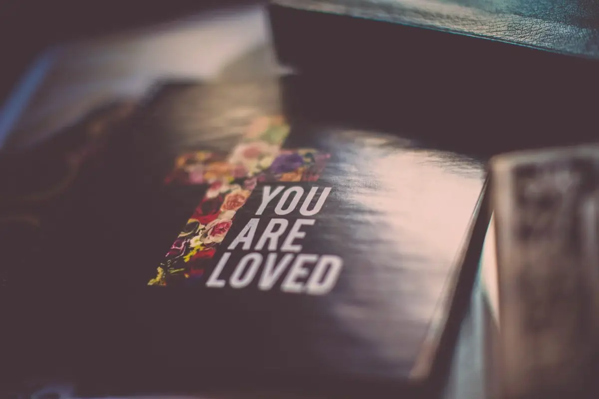 you are loved book