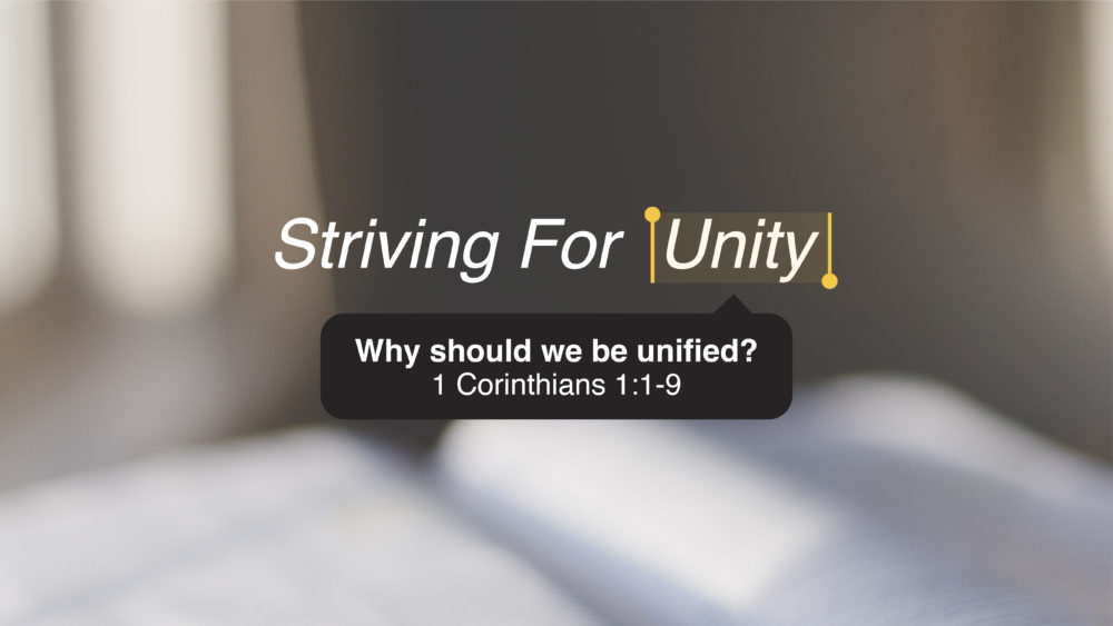Striving for Unity