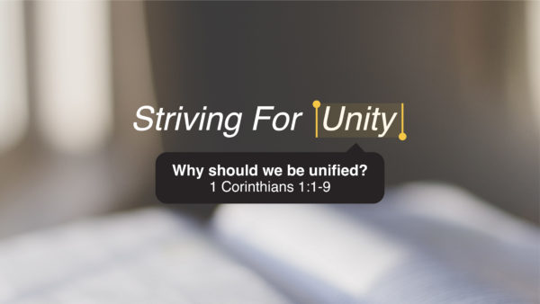 Striving for Unity: Unity That Divides Image