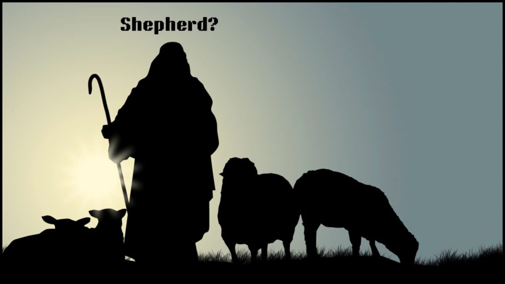 Summer in Psalm 23  Image