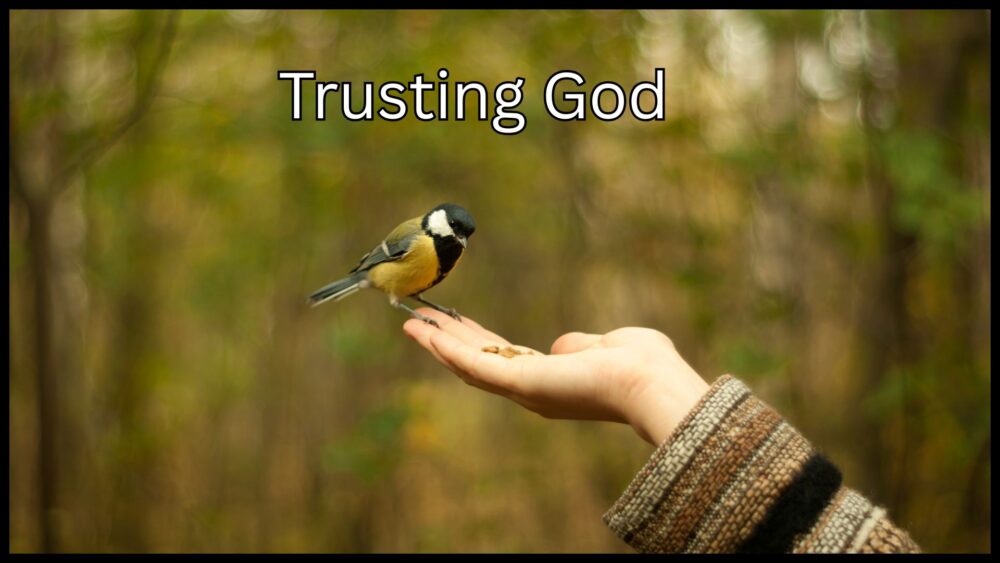 Summer in Psalm 46 Image
