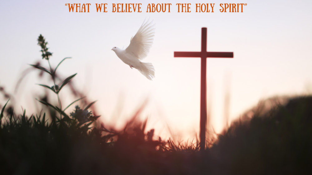Sermon Slides 8
